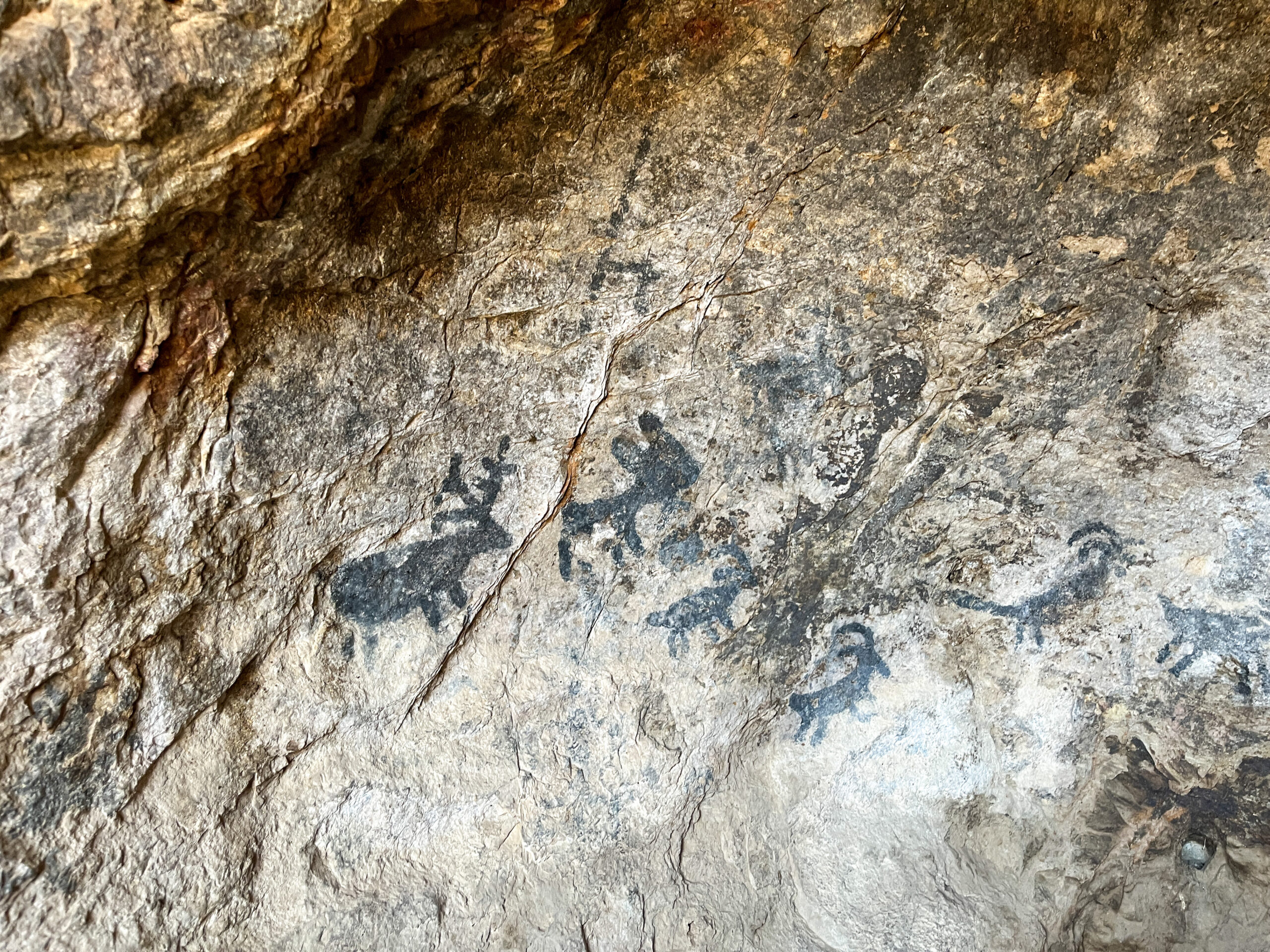 Petroglyphs on Yetman trail.